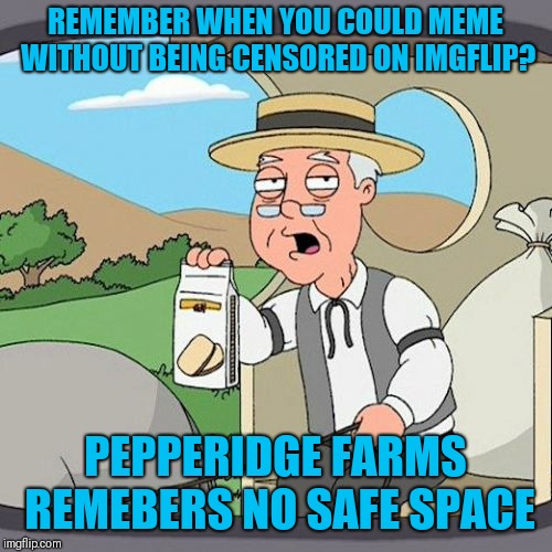 Pepperidge Farm Remembers |  REMEMBER WHEN YOU COULD MEME WITHOUT BEING CENSORED ON IMGFLIP? PEPPERIDGE FARMS REMEBERS NO SAFE SPACE | image tagged in memes,pepperidge farm remembers | made w/ Imgflip meme maker