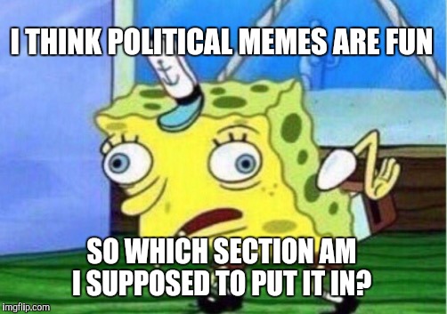 Hey, Imgflip mods, care to weigh in?  | I THINK POLITICAL MEMES ARE FUN; SO WHICH SECTION AM I SUPPOSED TO PUT IT IN? | image tagged in memes,mocking spongebob | made w/ Imgflip meme maker