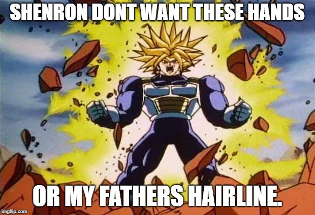 Dragon ball z | SHENRON DONT WANT THESE HANDS; OR MY FATHERS HAIRLINE. | image tagged in dragon ball z | made w/ Imgflip meme maker