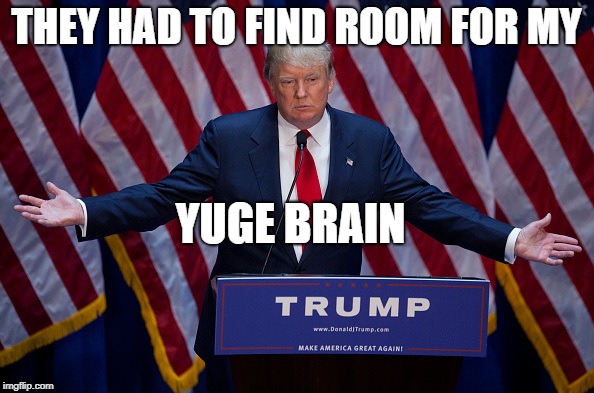 Donald Trump | THEY HAD TO FIND ROOM FOR MY YUGE BRAIN | image tagged in donald trump | made w/ Imgflip meme maker
