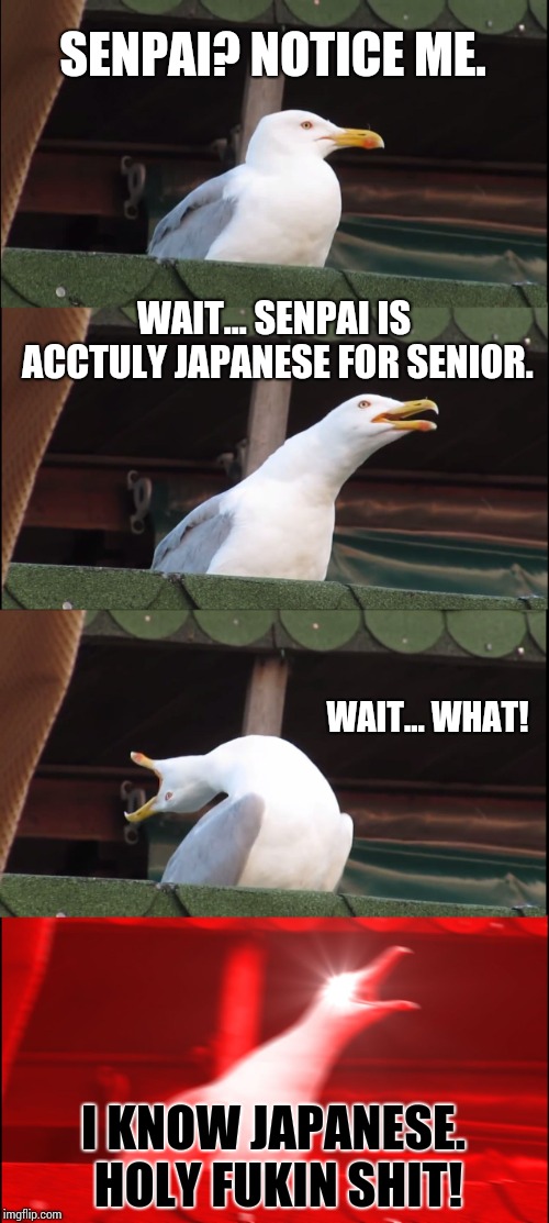 Wait... what? How did I know that? | SENPAI? NOTICE ME. WAIT... SENPAI IS ACCTULY JAPANESE FOR SENIOR. WAIT... WHAT! I KNOW JAPANESE. HOLY FUKIN SHIT! | image tagged in memes,inhaling seagull | made w/ Imgflip meme maker