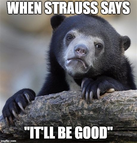 Confession Bear Meme | WHEN STRAUSS SAYS; "IT'LL BE GOOD" | image tagged in memes,confession bear | made w/ Imgflip meme maker