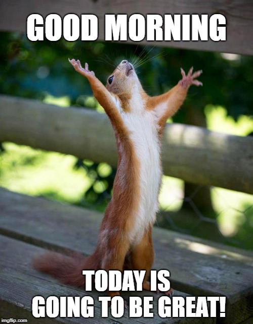 Good morning | GOOD MORNING; TODAY IS GOING TO BE GREAT! | image tagged in good morning,today was a good day,squirrel,happy squirrel | made w/ Imgflip meme maker