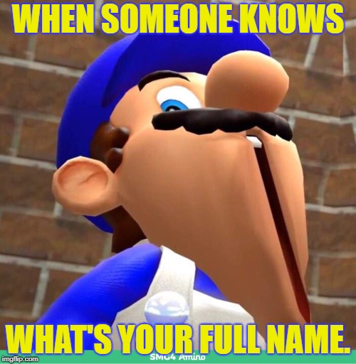smg4's face | WHEN SOMEONE KNOWS; WHAT'S YOUR FULL NAME. | image tagged in smg4's face | made w/ Imgflip meme maker