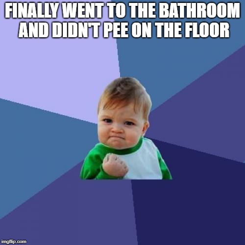 Success Kid Meme | FINALLY WENT TO THE BATHROOM AND DIDN'T PEE ON THE FLOOR | image tagged in memes,success kid | made w/ Imgflip meme maker