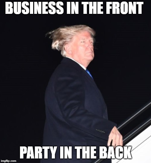 BUSINESS IN THE FRONT; PARTY IN THE BACK | image tagged in donald trump,memes | made w/ Imgflip meme maker