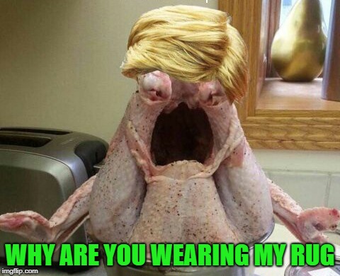 WHY ARE YOU WEARING MY RUG | made w/ Imgflip meme maker