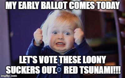 excited kid | MY EARLY BALLOT COMES TODAY; LET'S VOTE THESE LOONY SUCKERS OUT.    RED TSUNAMI!!! | image tagged in excited kid | made w/ Imgflip meme maker