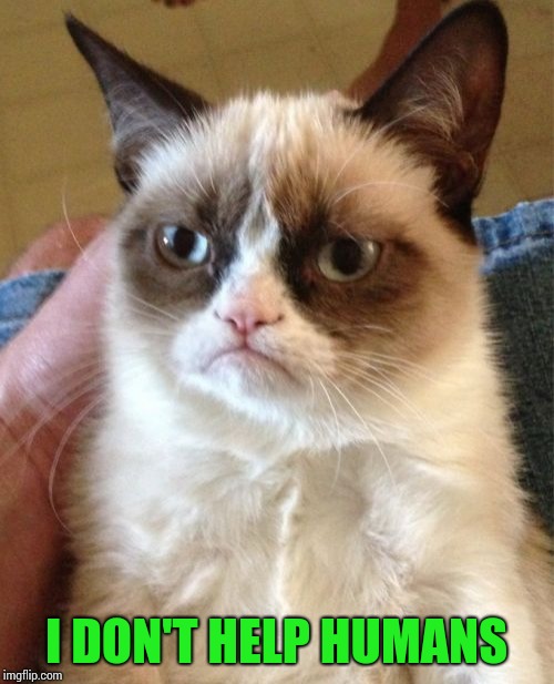 Grumpy Cat Meme | I DON'T HELP HUMANS | image tagged in memes,grumpy cat | made w/ Imgflip meme maker