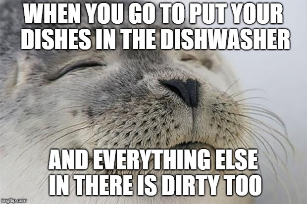 Satisfied Seal Meme | WHEN YOU GO TO PUT YOUR DISHES IN THE DISHWASHER; AND EVERYTHING ELSE IN THERE IS DIRTY TOO | image tagged in memes,satisfied seal,AdviceAnimals | made w/ Imgflip meme maker