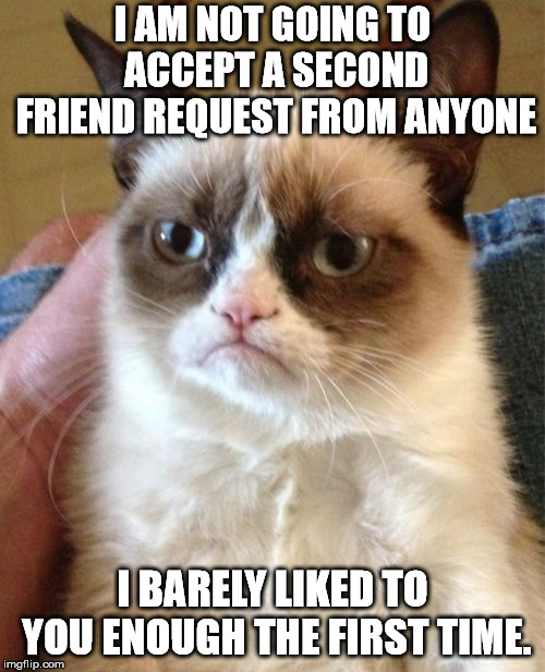 Grumpy Cat Meme | I AM NOT GOING TO ACCEPT A SECOND FRIEND REQUEST FROM ANYONE; I BARELY LIKED TO YOU ENOUGH THE FIRST TIME. | image tagged in memes,grumpy cat | made w/ Imgflip meme maker