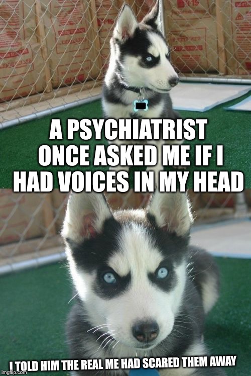 Insanity Puppy Meme | A PSYCHIATRIST ONCE ASKED ME IF I HAD VOICES IN MY HEAD; I TOLD HIM THE REAL ME HAD SCARED THEM AWAY | image tagged in memes,insanity puppy | made w/ Imgflip meme maker