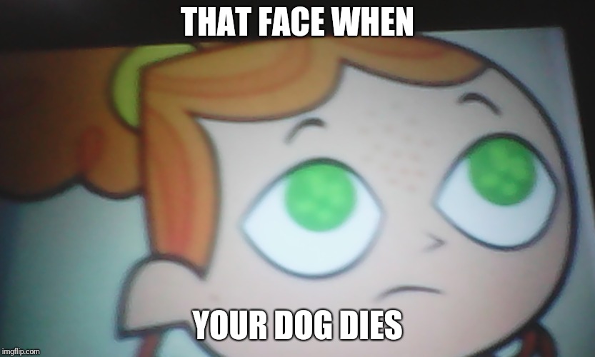First World Problems Izzy | THAT FACE WHEN; YOUR DOG DIES | image tagged in izzy,dead dog | made w/ Imgflip meme maker