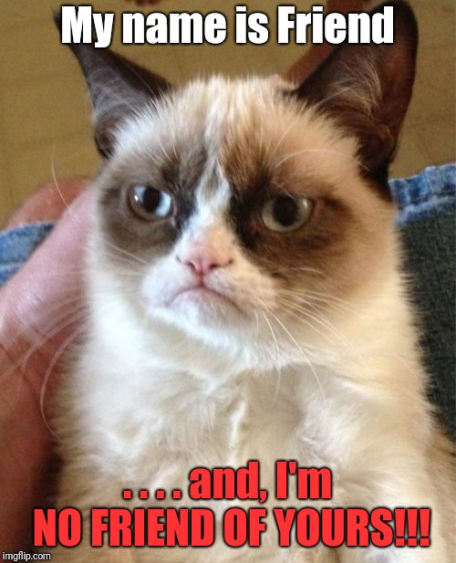 Grumpy Cat | My name is Friend; . . . . and, I'm NO FRIEND OF YOURS!!! | image tagged in memes,grumpy cat,friends | made w/ Imgflip meme maker