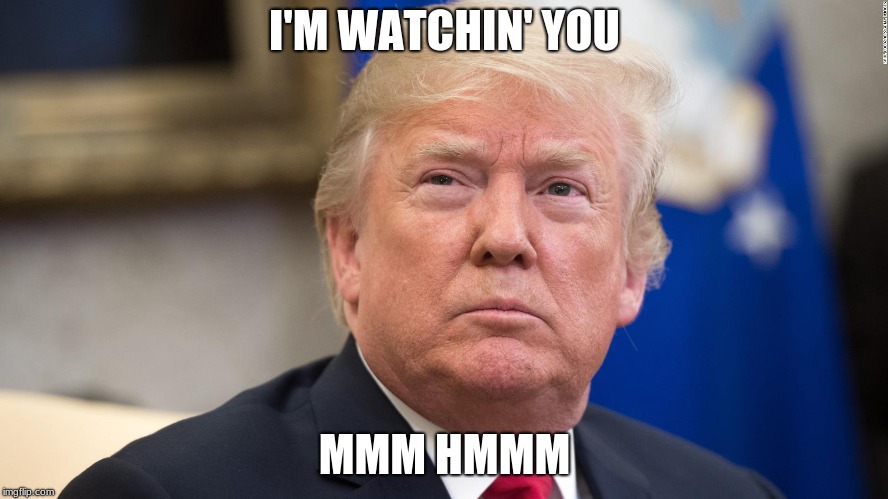 donald trump | I'M WATCHIN' YOU; MMM HMMM | image tagged in donald trump | made w/ Imgflip meme maker