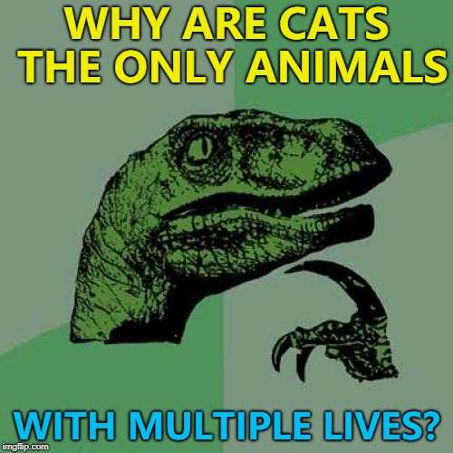 Horses don't have five, parrots don't have three etc... :) | WHY ARE CATS THE ONLY ANIMALS; WITH MULTIPLE LIVES? | image tagged in memes,philosoraptor,animals,cats,repost | made w/ Imgflip meme maker
