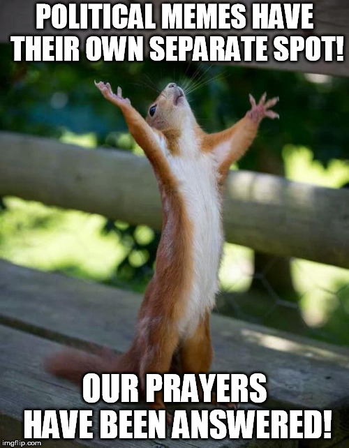 Happy Squirrel | POLITICAL MEMES HAVE THEIR OWN SEPARATE SPOT! OUR PRAYERS HAVE BEEN ANSWERED! | image tagged in happy squirrel,political memes,imgflip,prayers | made w/ Imgflip meme maker