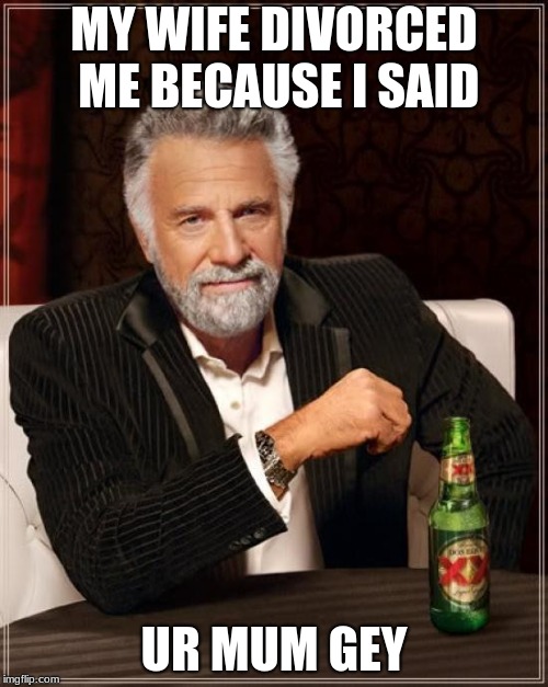 The Most Interesting Man In The World | MY WIFE DIVORCED ME BECAUSE I SAID; UR MUM GEY | image tagged in memes,the most interesting man in the world | made w/ Imgflip meme maker