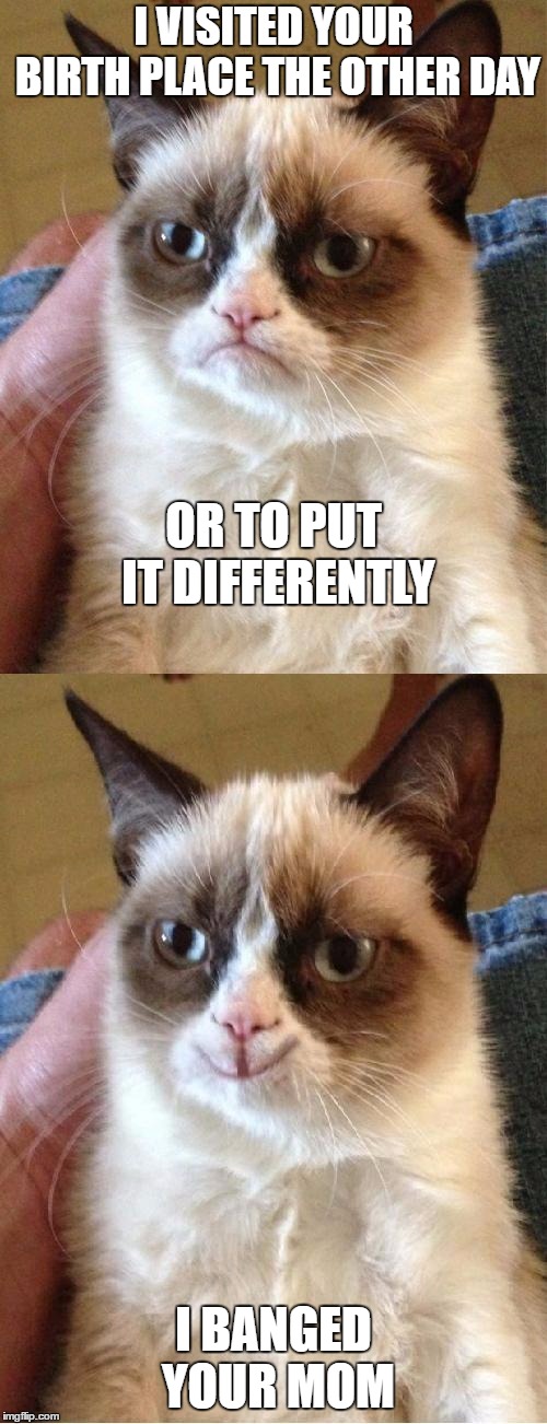 Grumpy Cat 2x Smile | I VISITED YOUR BIRTH PLACE THE OTHER DAY; OR TO PUT IT DIFFERENTLY; I BANGED YOUR MOM | image tagged in grumpy cat 2x smile,random,bang,mom | made w/ Imgflip meme maker