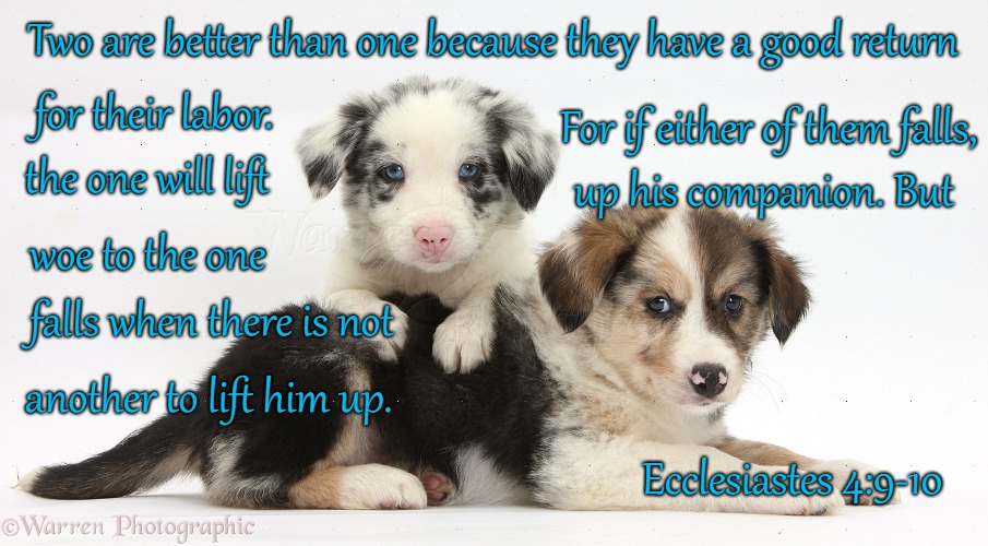 Ecclesiastes 4:9-10 Two Are Better Than One For If One Falls The Other Can Lift Him Up | Two are better than one because they have a good return; for their labor. For if either of them falls, the one will lift; up his companion. But; woe to the one; falls when there is not; another to lift him up. Ecclesiastes 4:9-10 | image tagged in bible,holy bible,holy spirit,bible verse,verse,god | made w/ Imgflip meme maker