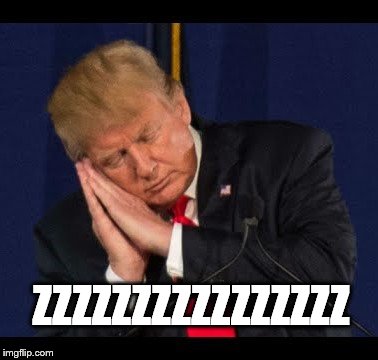The trump, The Most CONscious "President" Ever! | ZZZZZZZZZZZZZZZZ | image tagged in trump sleeps,asleep at the wheel,trump unfit,trump unfit unqualified dangerous,clueless,conman | made w/ Imgflip meme maker