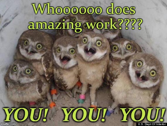 Amazed Owls | Whoooooo does amazing work???? YOU!   YOU!   YOU! | image tagged in amazed owls | made w/ Imgflip meme maker