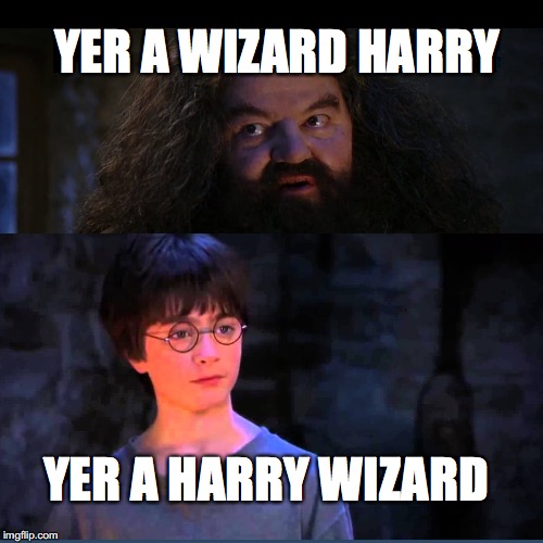 Yer a wizard | YER A WIZARD HARRY; YER A HARRY WIZARD | image tagged in harry potter | made w/ Imgflip meme maker