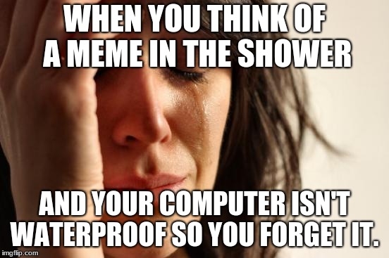 First World Problems | WHEN YOU THINK OF A MEME IN THE SHOWER; AND YOUR COMPUTER ISN'T WATERPROOF SO YOU FORGET IT. | image tagged in memes,first world problems | made w/ Imgflip meme maker