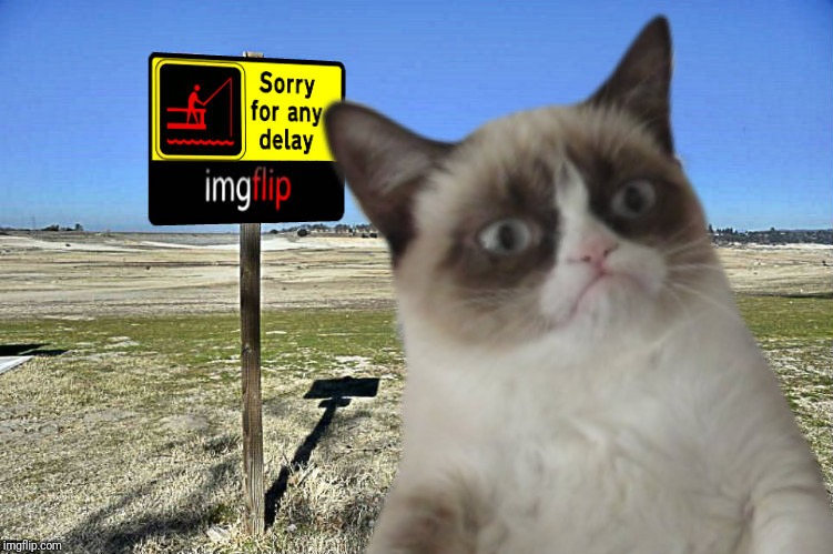 High Quality Grumpy Cat imgflip Blank Meme Template