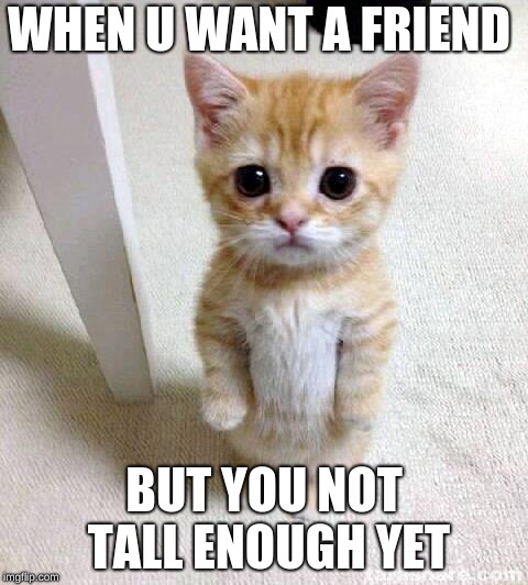 Cute Cat Meme | WHEN U WANT A FRIEND; BUT YOU NOT TALL ENOUGH YET | image tagged in memes,cute cat | made w/ Imgflip meme maker