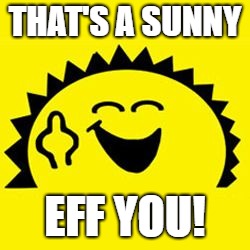 Ray of Sunshine | THAT'S A SUNNY; EFF YOU! | image tagged in ray of sunshine | made w/ Imgflip meme maker