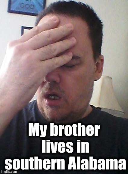face palm | My brother lives in southern Alabama | image tagged in face palm | made w/ Imgflip meme maker