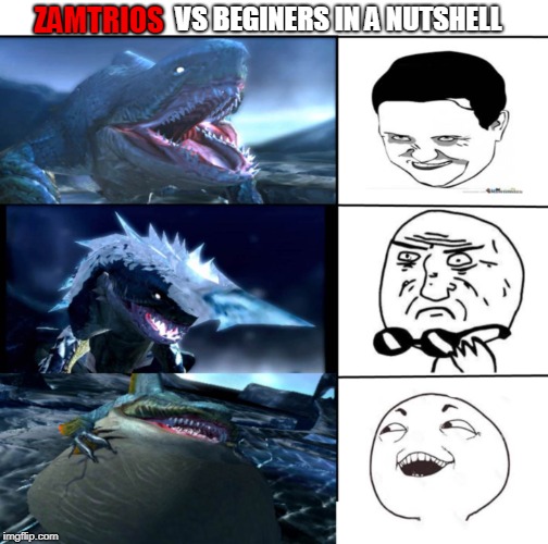 Zamtrios vs beginers | VS BEGINERS IN A NUTSHELL; ZAMTRIOS | image tagged in memes,funny,monster hunter,meme faces | made w/ Imgflip meme maker