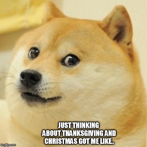 Doge Meme | JUST THINKING ABOUT THANKSGIVING AND CHRISTMAS GOT ME LIKE.. | image tagged in memes,doge | made w/ Imgflip meme maker