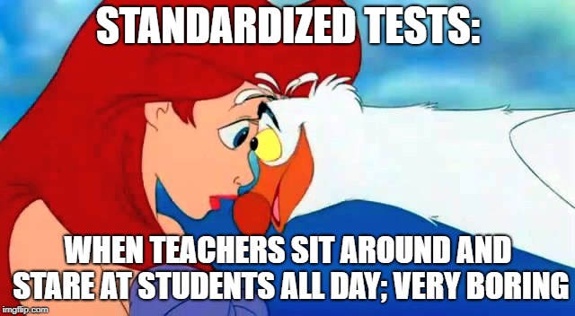 STANDARDIZED TESTS:; WHEN TEACHERS SIT AROUND AND STARE AT STUDENTS ALL DAY; VERY BORING | image tagged in little mermaid scuttle | made w/ Imgflip meme maker