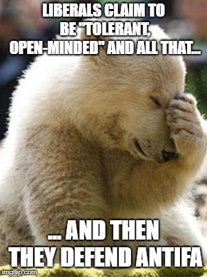 Facepalm Bear | LIBERALS CLAIM TO BE "TOLERANT, OPEN-MINDED" AND ALL THAT... ... AND THEN THEY DEFEND ANTIFA | image tagged in memes,facepalm bear,funny,antifa,liberals,politics | made w/ Imgflip meme maker