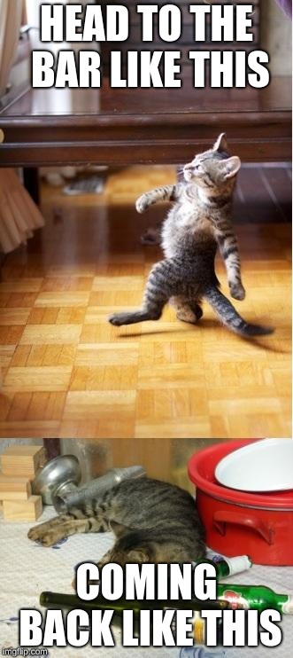 Party cat | HEAD TO THE BAR LIKE THIS; COMING BACK LIKE THIS | image tagged in party cat | made w/ Imgflip meme maker