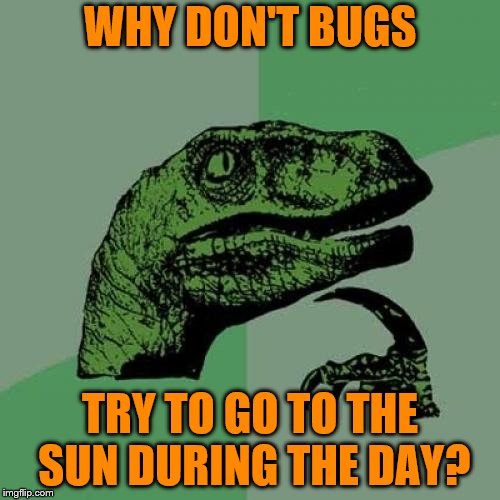 Philosoraptor Meme | WHY DON'T BUGS; TRY TO GO TO THE SUN DURING THE DAY? | image tagged in memes,philosoraptor | made w/ Imgflip meme maker