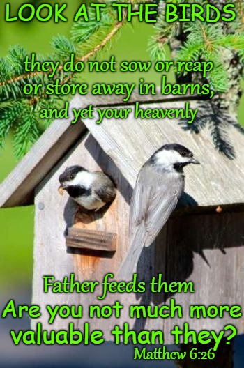 Mathew 6:26 Look At The Birds They Do Not Store Away Food And Yet The Father Feeds Them Are You More Valuable Than The Birds | LOOK AT THE BIRDS; they do not sow or reap; or store away in barns, and yet your heavenly; Father feeds them; Are you not much more; valuable than they? Matthew 6:26 | image tagged in bible,holy bible,holy spirit,bible verse,verse,god | made w/ Imgflip meme maker