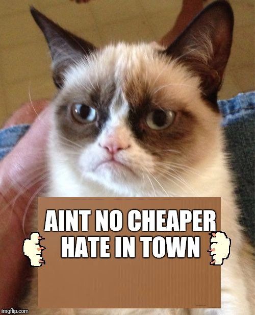Grumpy Cat Cardboard Sign | AINT NO CHEAPER HATE IN TOWN | image tagged in grumpy cat cardboard sign | made w/ Imgflip meme maker
