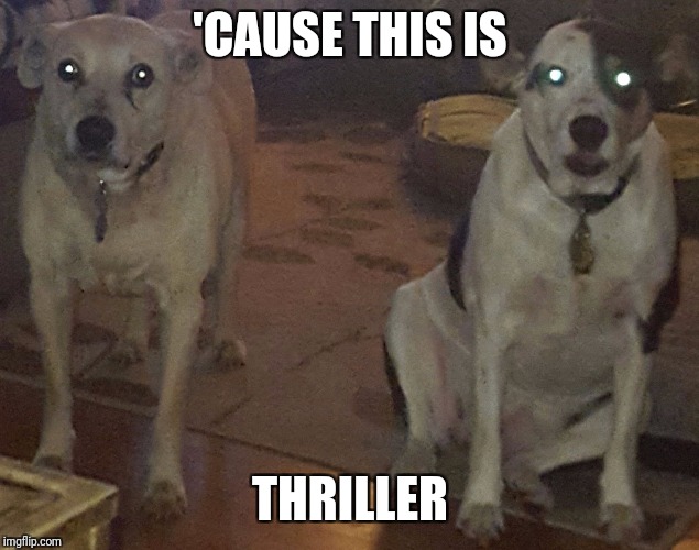 Zombie Dogs | 'CAUSE THIS IS THRILLER | image tagged in zombie dogs | made w/ Imgflip meme maker