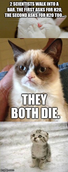 Two scientists | 2 SCIENTISTS WALK INTO A BAR. THE FIRST ASKS FOR H2O, THE SECOND ASKS FOR H2O TOO... THEY BOTH DIE. | image tagged in cat,grumpy cat,sad cat | made w/ Imgflip meme maker