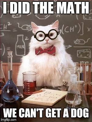 Science Cat Good Day | I DID THE MATH; WE CAN'T GET A DOG | image tagged in science cat good day | made w/ Imgflip meme maker