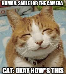 Happy cat | HUMAN: SMILE FOR THE CAMERA; CAT: OKAY HOW"S THIS | image tagged in happy cat | made w/ Imgflip meme maker