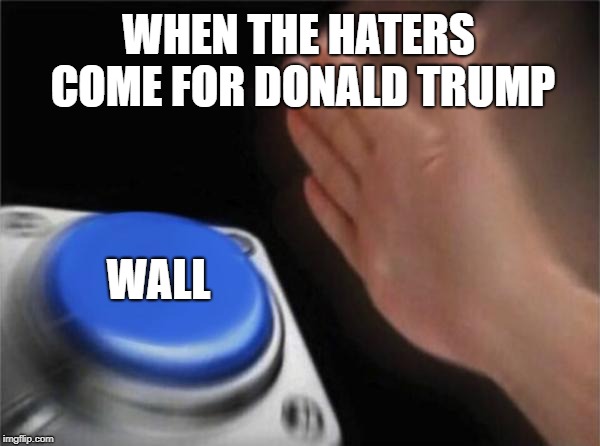 Blank Nut Button | WHEN THE HATERS COME FOR DONALD TRUMP; WALL | image tagged in memes,blank nut button | made w/ Imgflip meme maker
