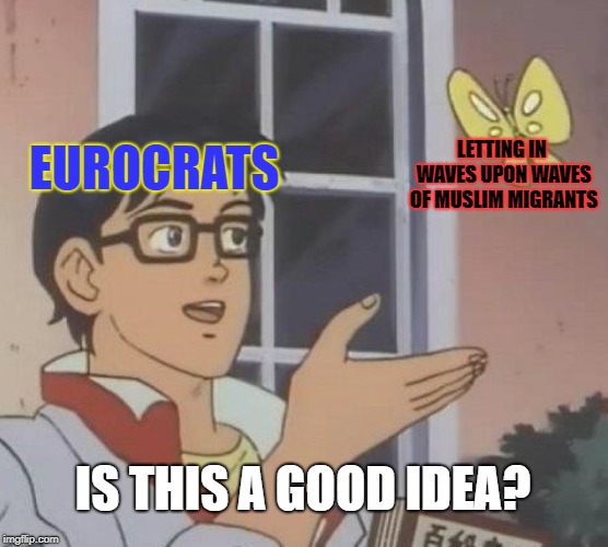 Eurotards | EUROCRATS; LETTING IN WAVES UPON WAVES OF MUSLIM MIGRANTS; IS THIS A GOOD IDEA? | image tagged in memes,is this a pigeon | made w/ Imgflip meme maker