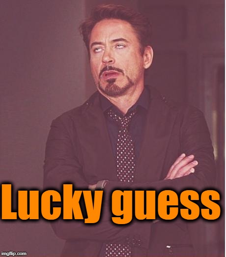 Face You Make Robert Downey Jr Meme | Lucky guess | image tagged in memes,face you make robert downey jr | made w/ Imgflip meme maker
