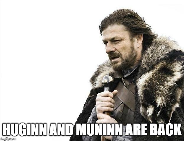 Brace Yourselves X is Coming Meme | HUGINN AND MUNINN ARE BACK | image tagged in memes,brace yourselves x is coming | made w/ Imgflip meme maker
