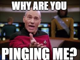Why?? | WHY ARE YOU; PINGING ME? | image tagged in captain picard | made w/ Imgflip meme maker