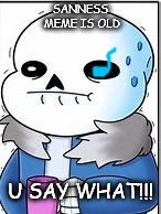 SANS | SANNESS MEME IS OLD; U SAY WHAT!!! | image tagged in sans | made w/ Imgflip meme maker